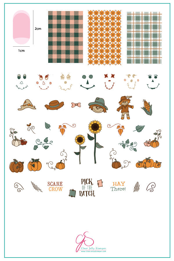 Pick of the Patch (CjS LC-56) Steel Stamping Plate 14 x 9 Clear Jelly Stamper