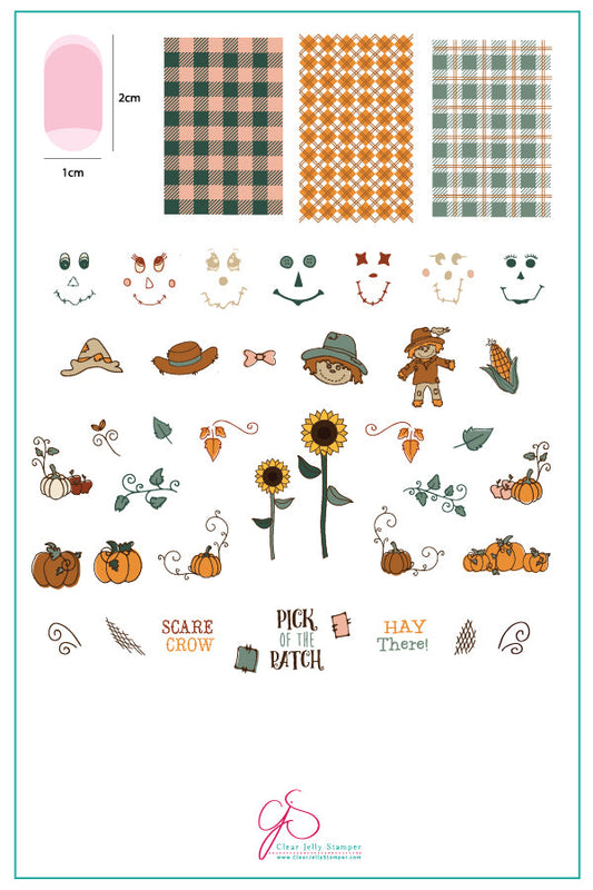 Pick of the Patch (CjS LC-56) Steel Stamping Plate 14 x 9 Clear Jelly Stamper