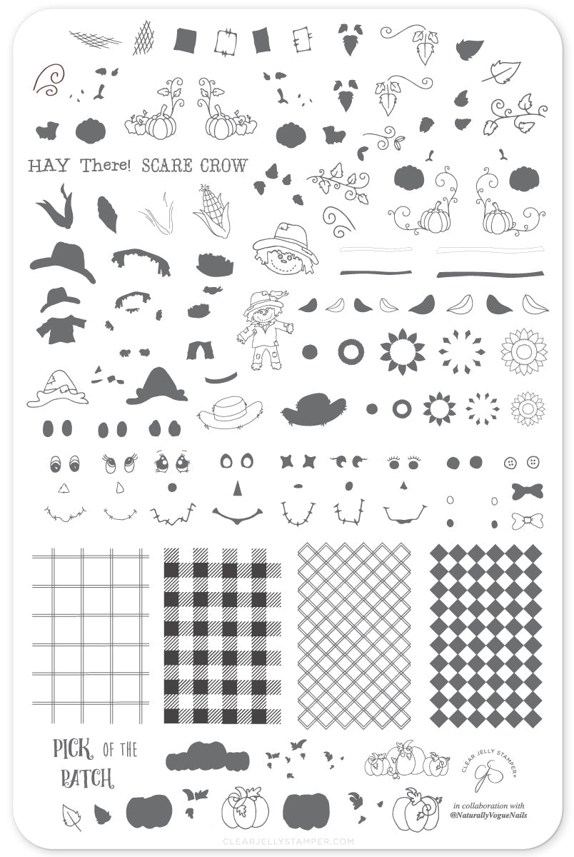 Pick of the Patch (CjS LC-56) Steel Stamping Plate 14 x 9 Clear Jelly Stamper