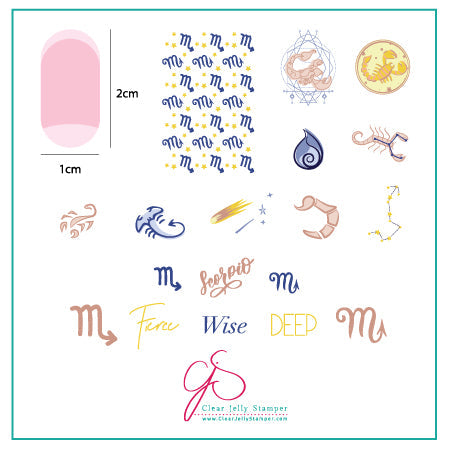 Scorpio (CjSZ-09) Steel Stamping Plate 6x6 Clear Jelly Stamper