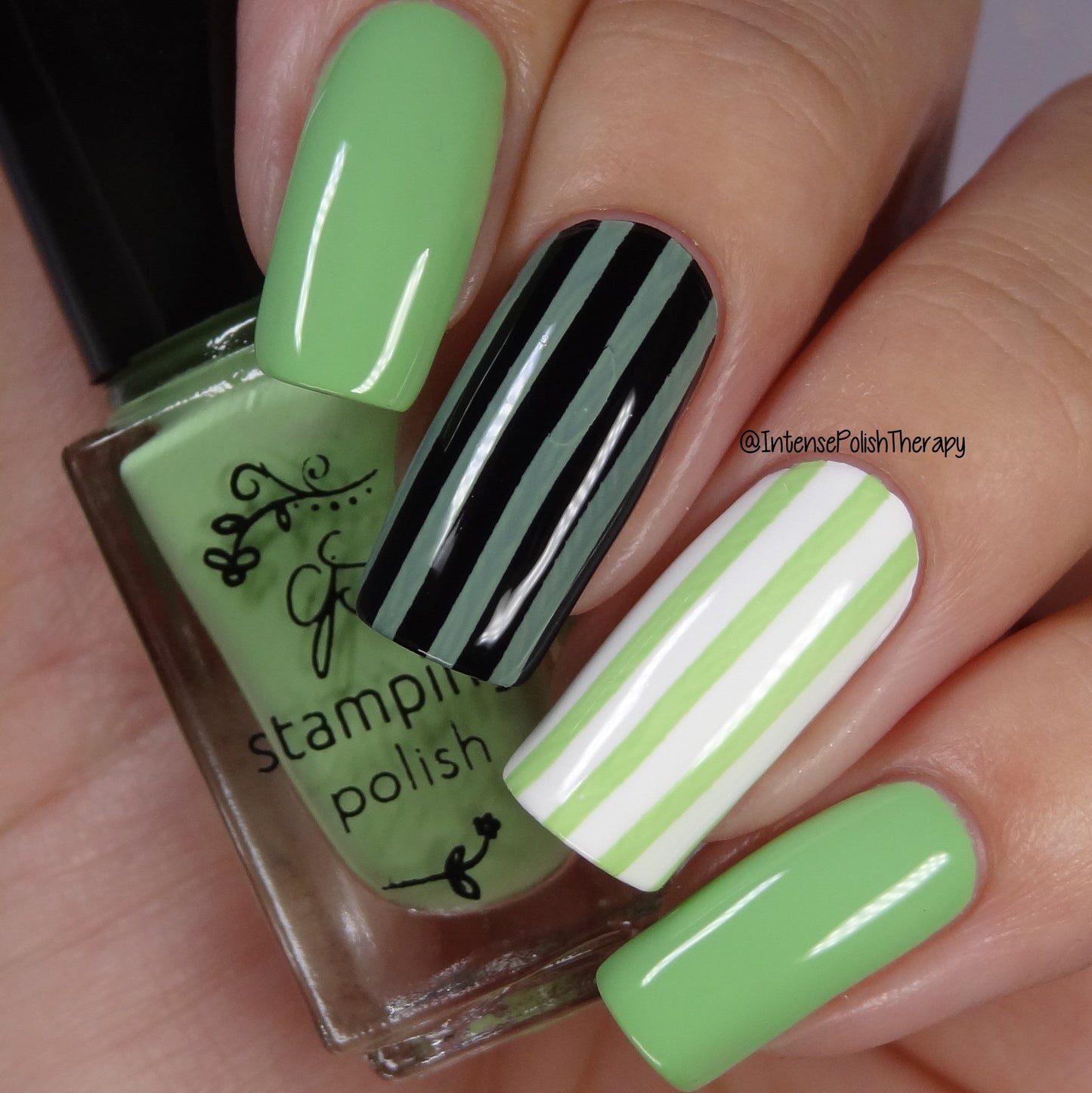 #98 Gitty Gecko - Nail Stamping Color (5 Free Formula) Polish Clear Jelly Stamper