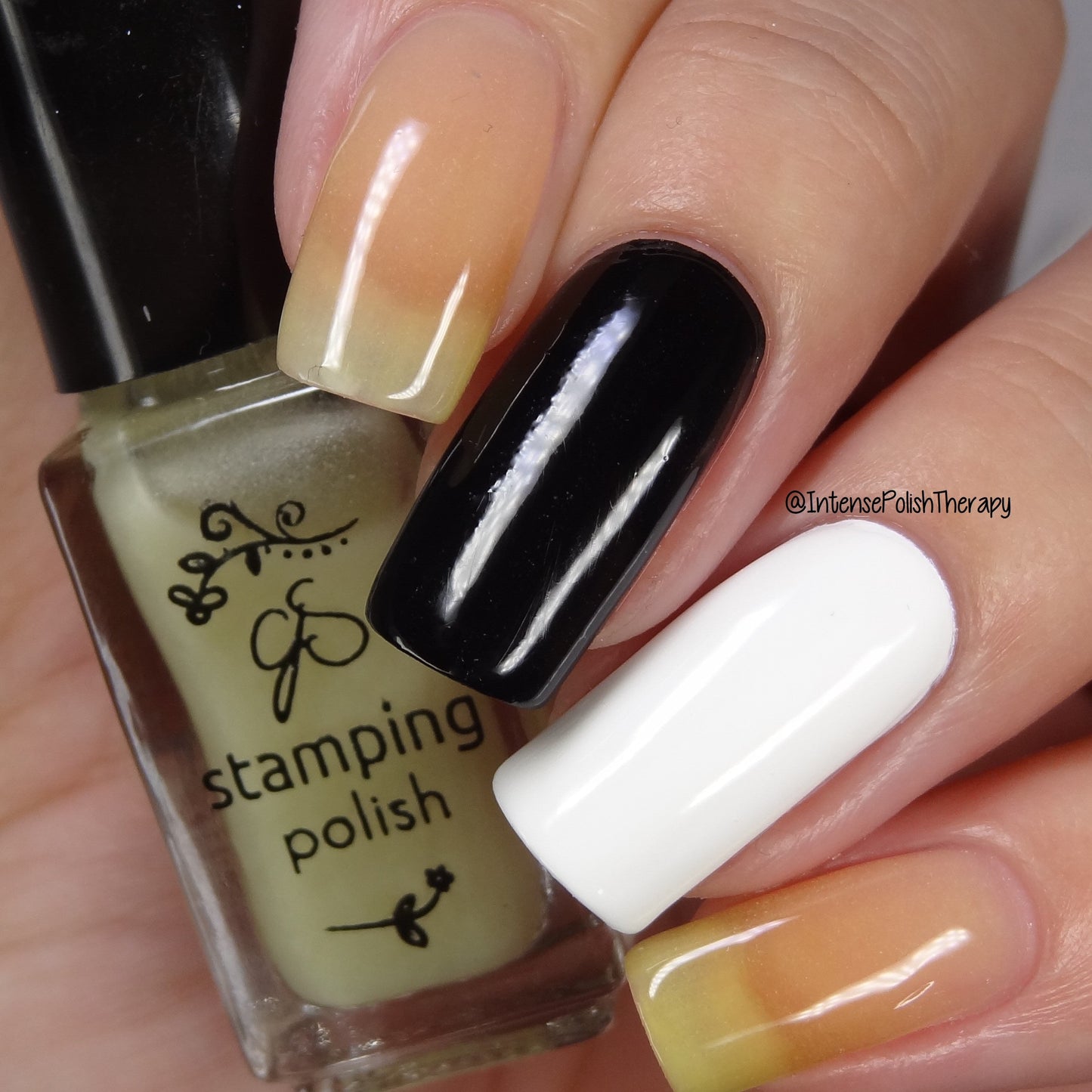 GLOW! - Stamping Polish (5ml) Base/Top/Cuticle/Glow Clear Jelly Stamper