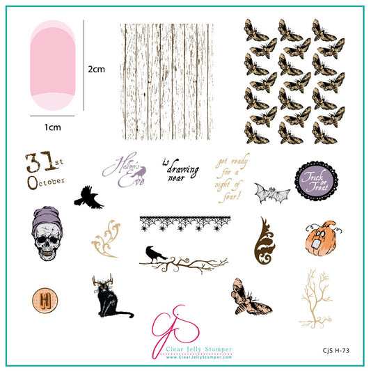 Hallow's Eve (CjS-H-73) Etched Nail Art Stamping Plate
