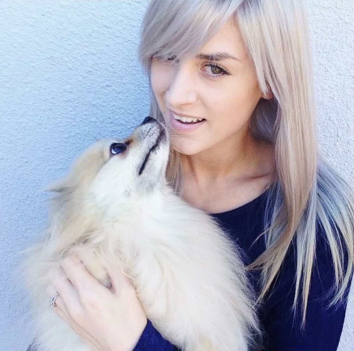 Everything Elephant (CjS LC-44) Steel Stamping Plate 14 x 9 Clear Jelly Stamper