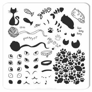 Meow (CjS-60) Steel Nail Art Stamping Plate 6x6 Clear Jelly Stamper