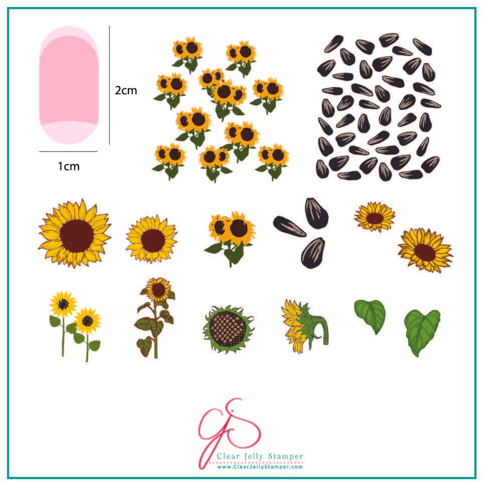 Sunflowers (CjS-163) Steel Stamping Plate 8 x 8 Clear Jelly Stamper