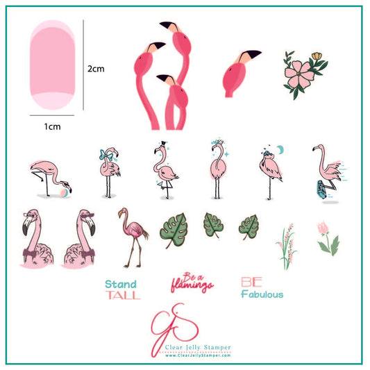 Lil Flamingo (CjS-93) Steel Nail Art Stamping Plate 8 x 8 Clear Jelly Stamper Plate