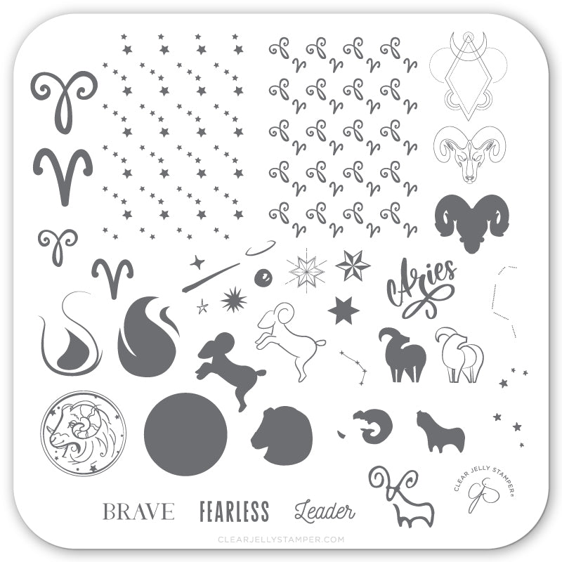 Aries (CjSZ-02) Steel Stamping Plate 6x6 Clear Jelly Stamper