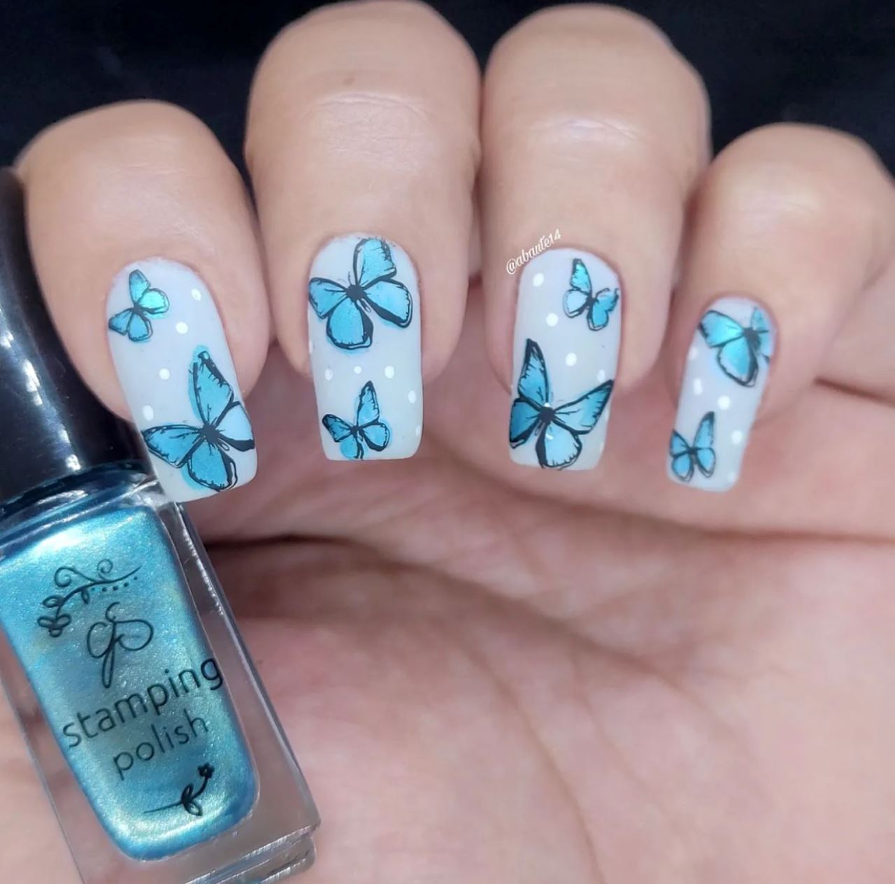 Koko by Design (CjS-103) Steel Nail Art Stamping Plate 14 x 9 Clear Jelly Stamper