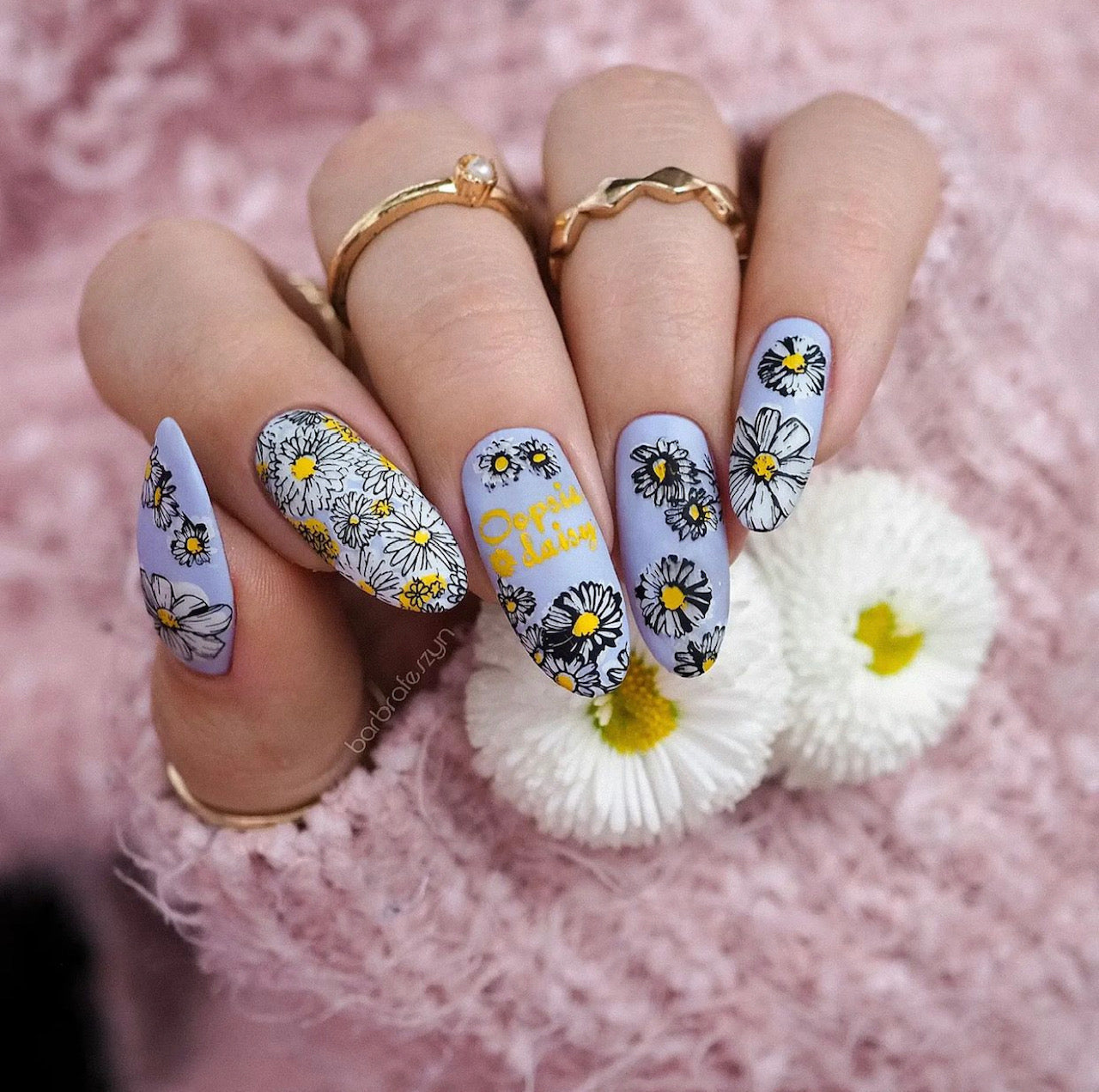 I Dream of Daisies (CjS-104) Steel Nail Art Stamping Plate 14 x 9 Clear Jelly Stamper