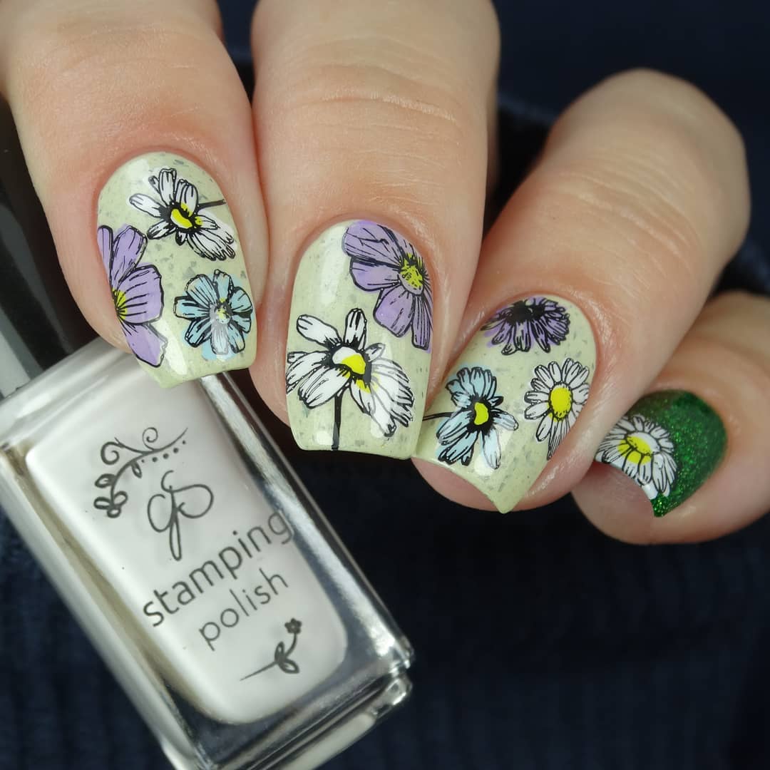 I Dream of Daisies (CjS-104) Steel Nail Art Stamping Plate 14 x 9 Clear Jelly Stamper