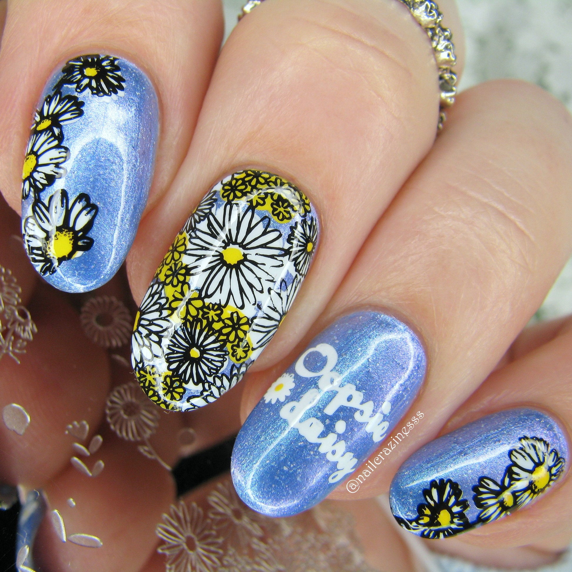 I Dream of Daisies (CjS-104) Steel Nail Art Stamping Plate 14 x 9 Clear Jelly Stamper