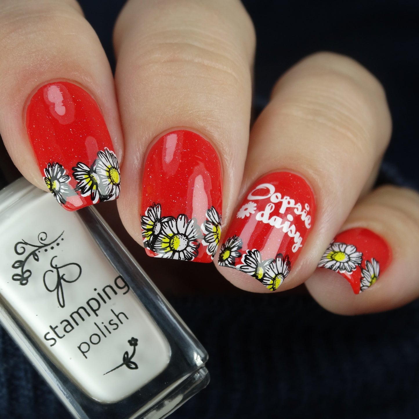 I Dream of Daisies (CjS-104) Steel Nail Art Stamping Plate 14 x 9 Clear Jelly Stamper