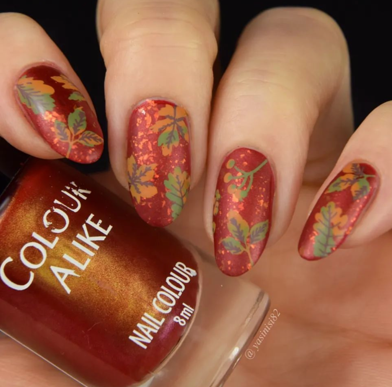 Autumn is Here! (CjS-135) Etched Nail Art Stamping Plate
