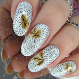 Autumn is Here! (CjS-135) Steel Layered Nail Art Stamping Plate