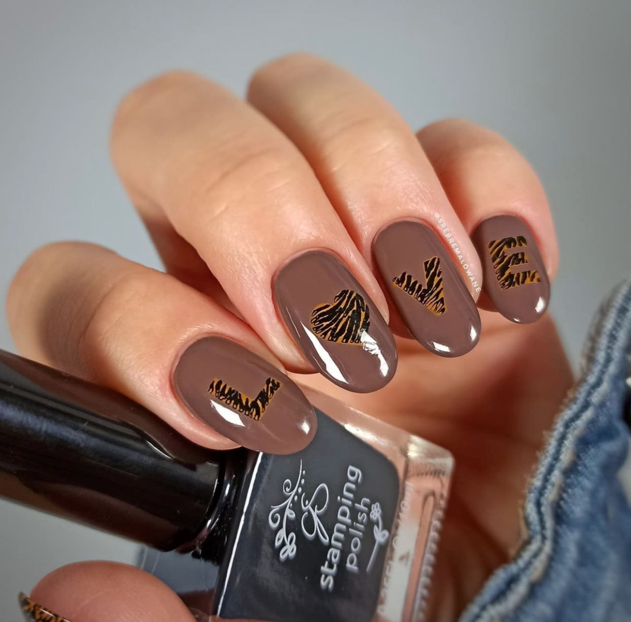 Eye of the Tiger (CjS-214) Steel Nail Art Layered Stamping Plate