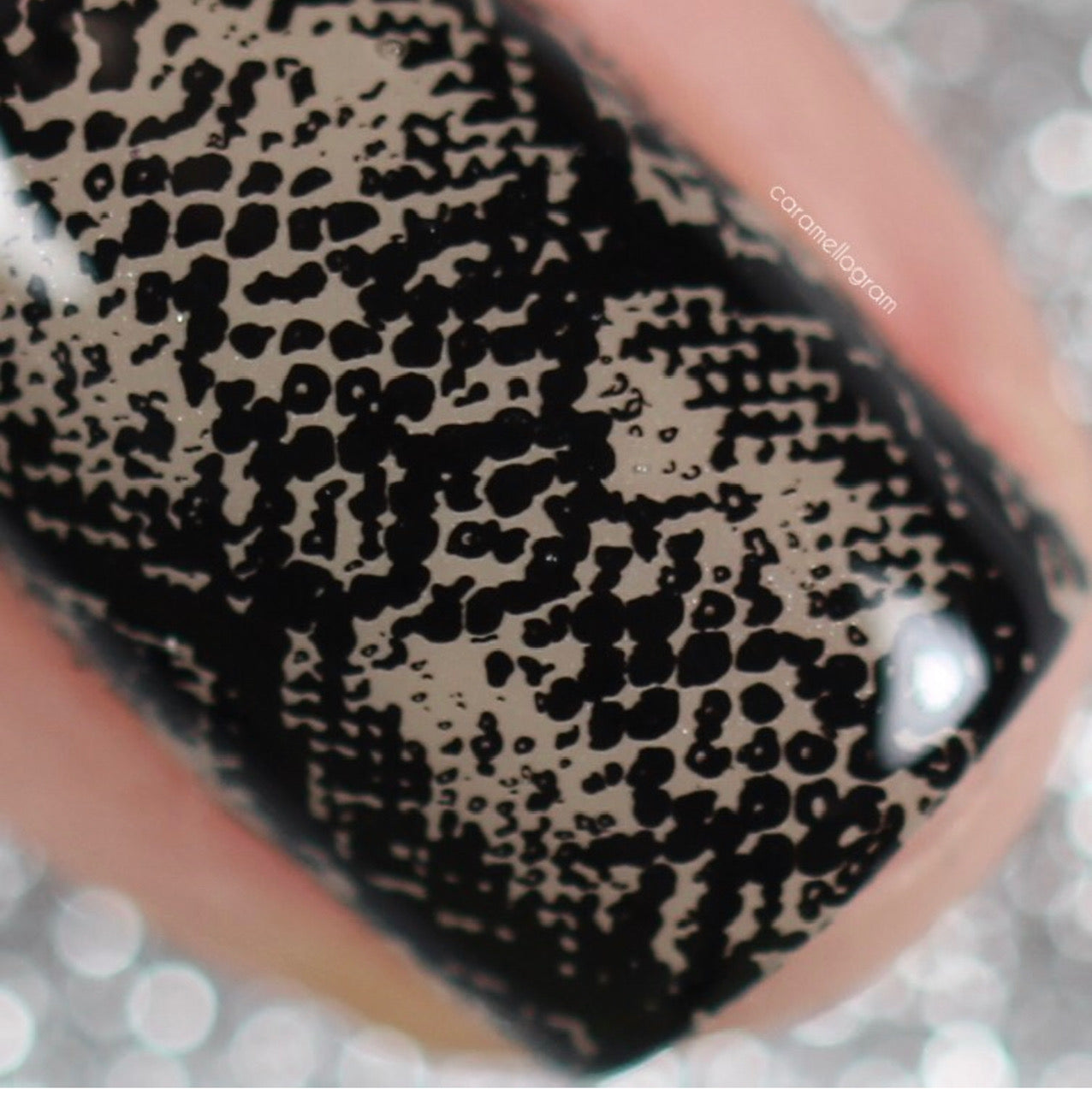 Snake (CjS-217) Steel Nail Art Layered Stamping Plate