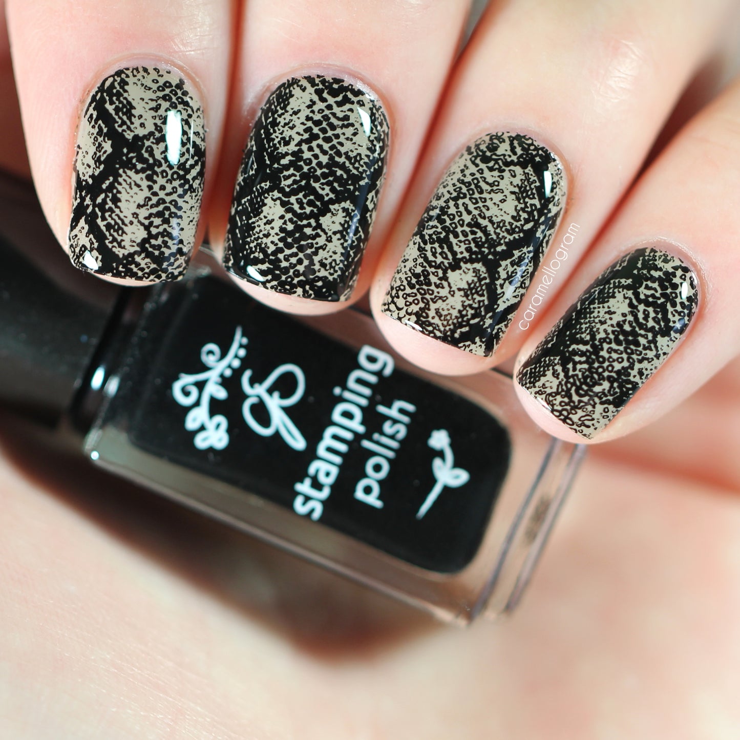 Snake (CjS-217) Steel Nail Art Layered Stamping Plate