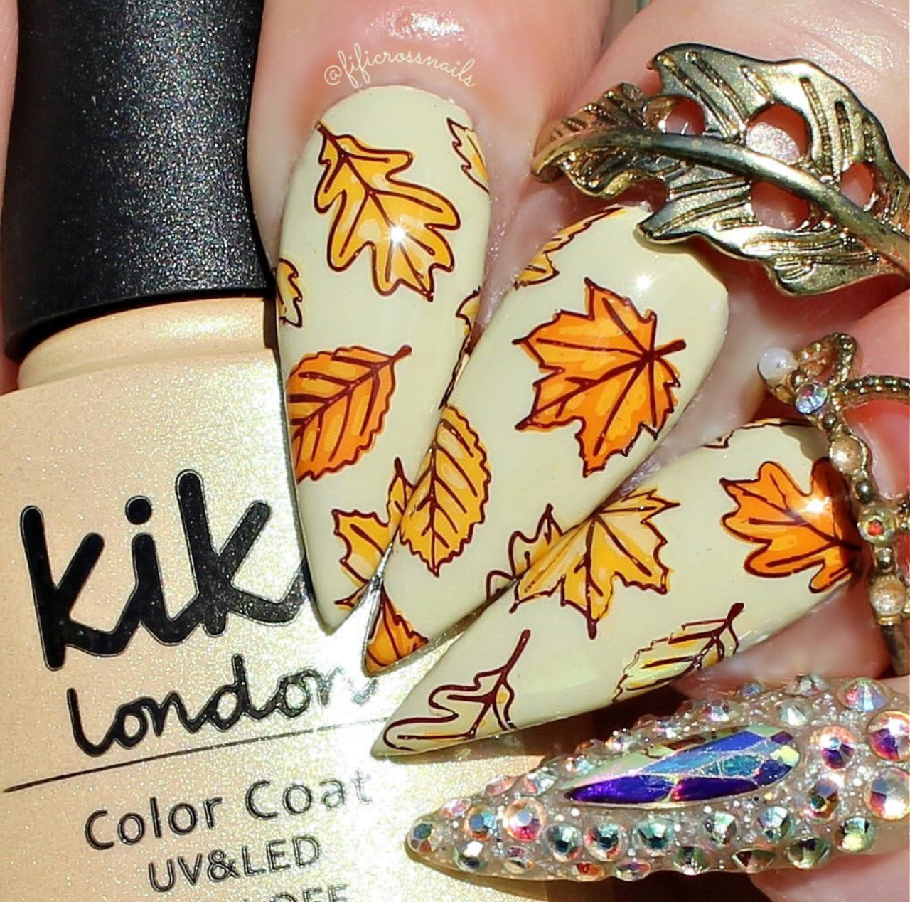 Patterned Pumpkins (CjS-220) Etchd Nail Art Stamping Plate