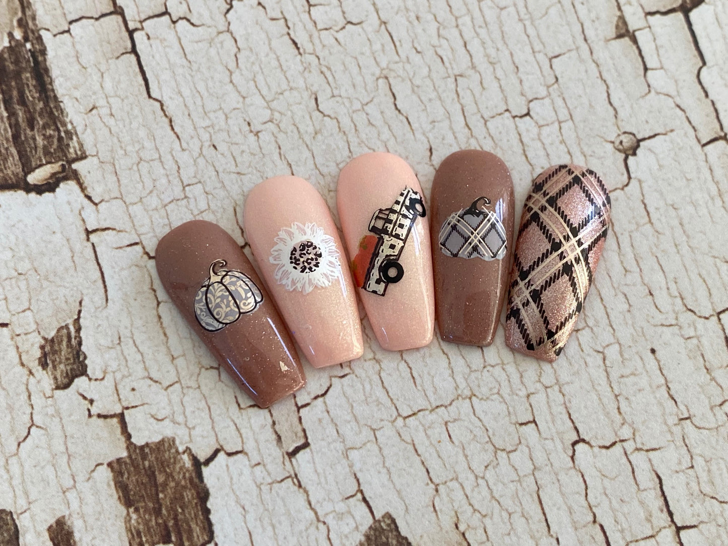 Patterned Pumpkins (CjS-220) Etchd Nail Art Stamping Plate