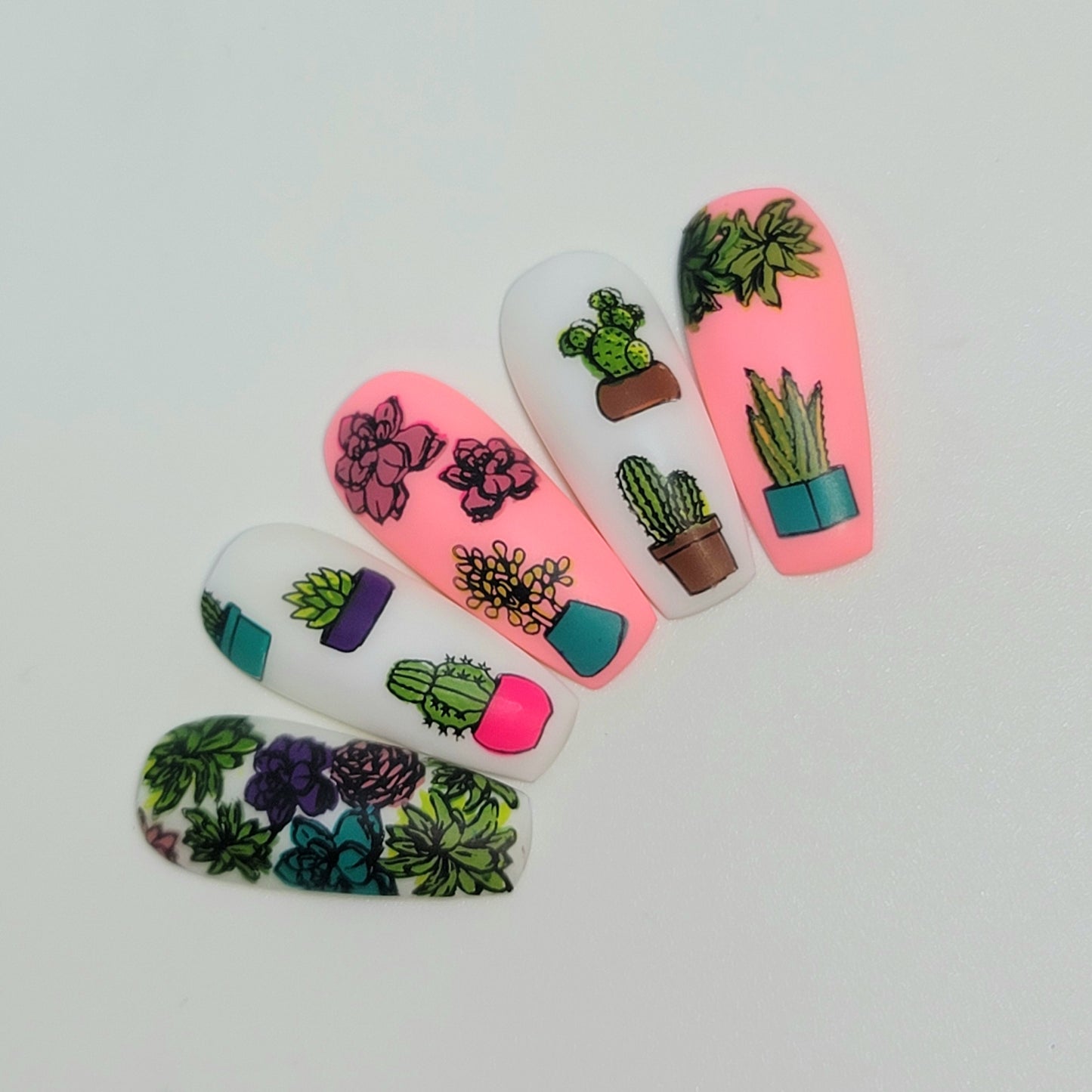 Beginner Edition (CjS-B-ONE) Etched Nail Art Stamping Plate