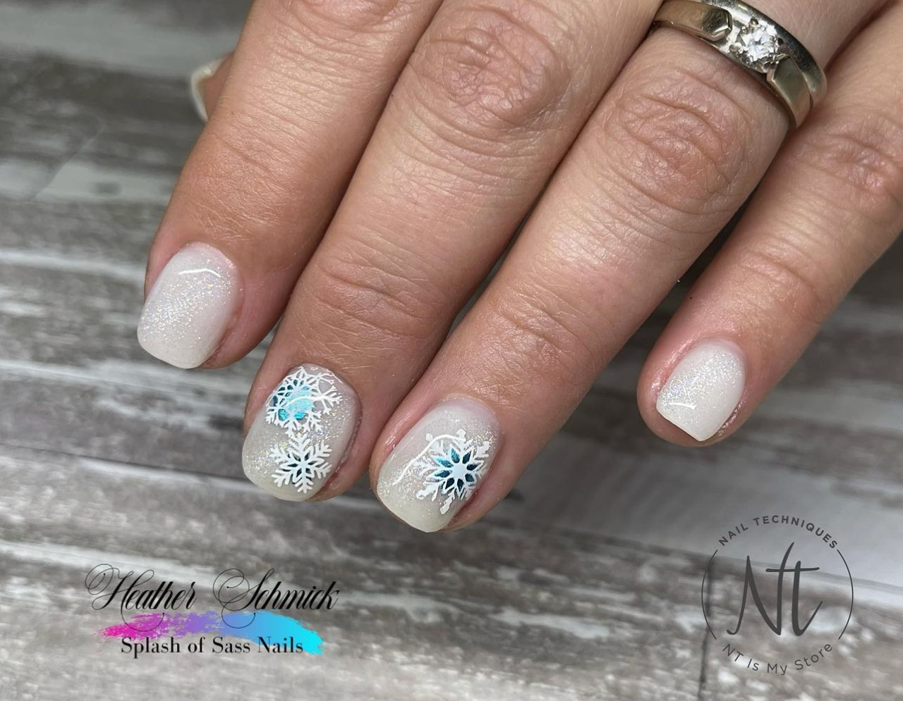 In the Frosty Air (CjSC-24) Etched Nail Art Stamping Plate