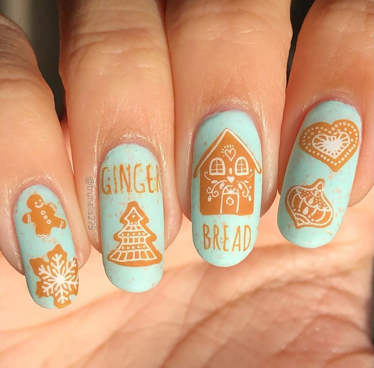 Mmm...Cookies! (CjSC-36) Etched Nail Art Stamping Plate