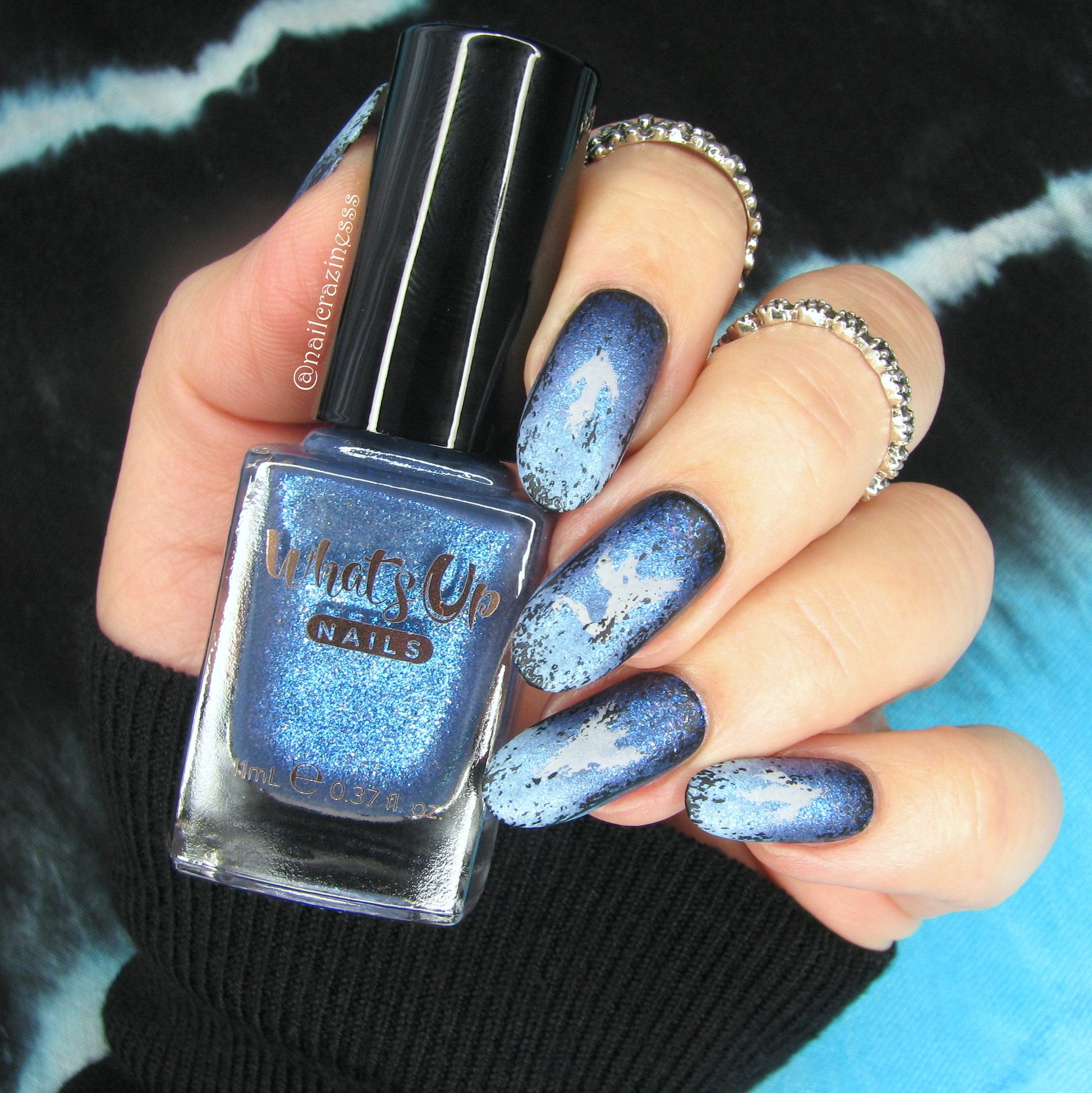 Creepy Hollow (CjSH-37) Steel Stamping Plate 14 x 9 Clear Jelly Stamper