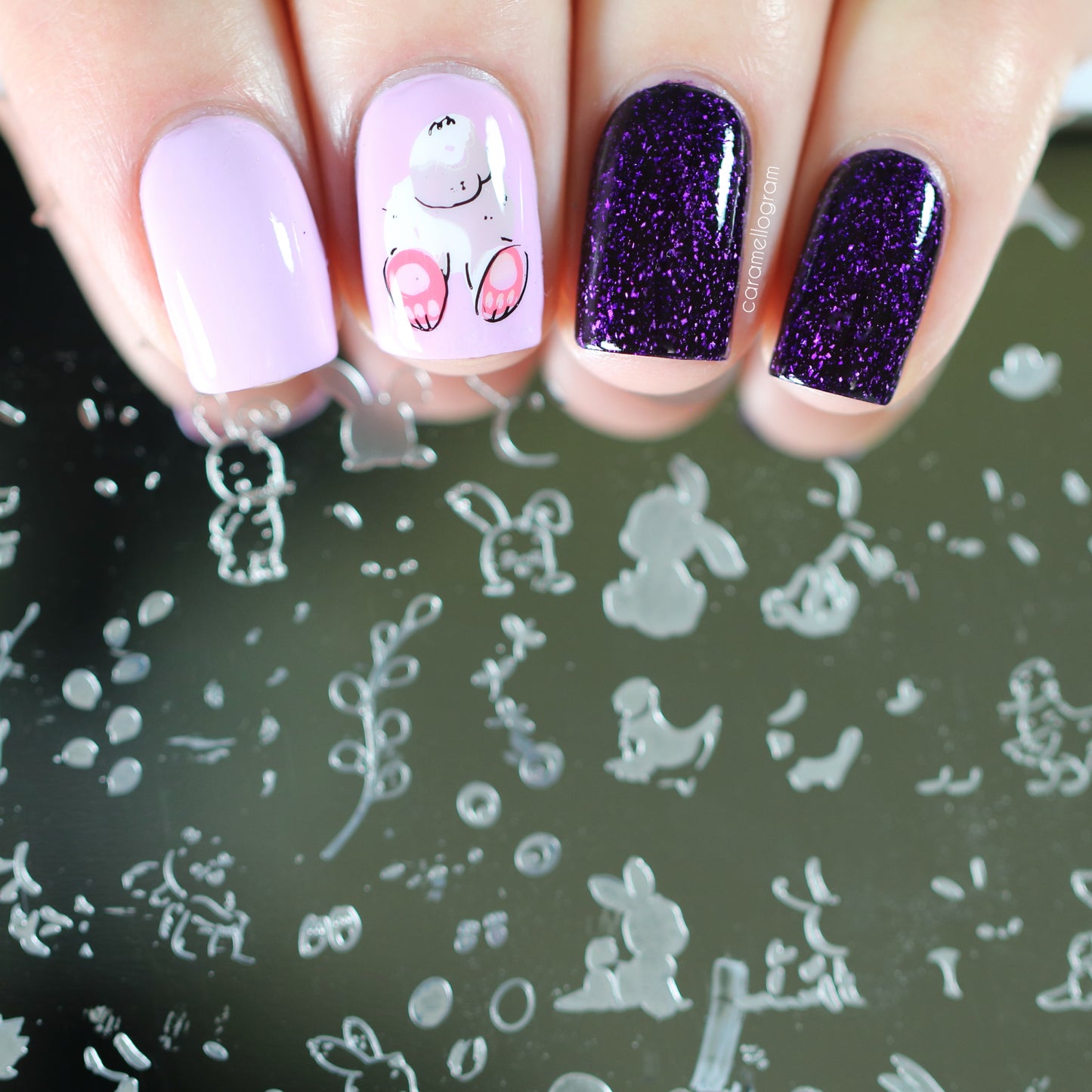 Fuzzy Easter (CjSH-76) Etched Nail Art Stamping Plate