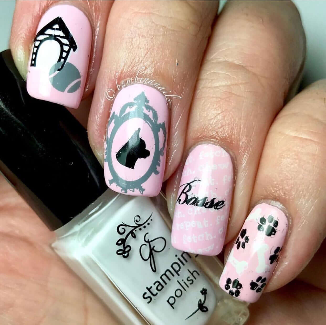 Puppy Love (CjS LC-23 ) - Steel Stamping Plate 14 x 9 Clear Jelly Stamper