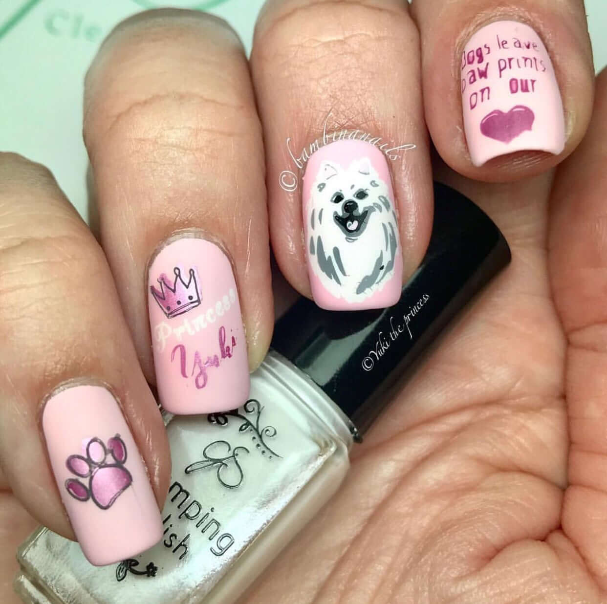 Puppy Love (CjS LC-23 ) - Steel Stamping Plate 14 x 9 Clear Jelly Stamper