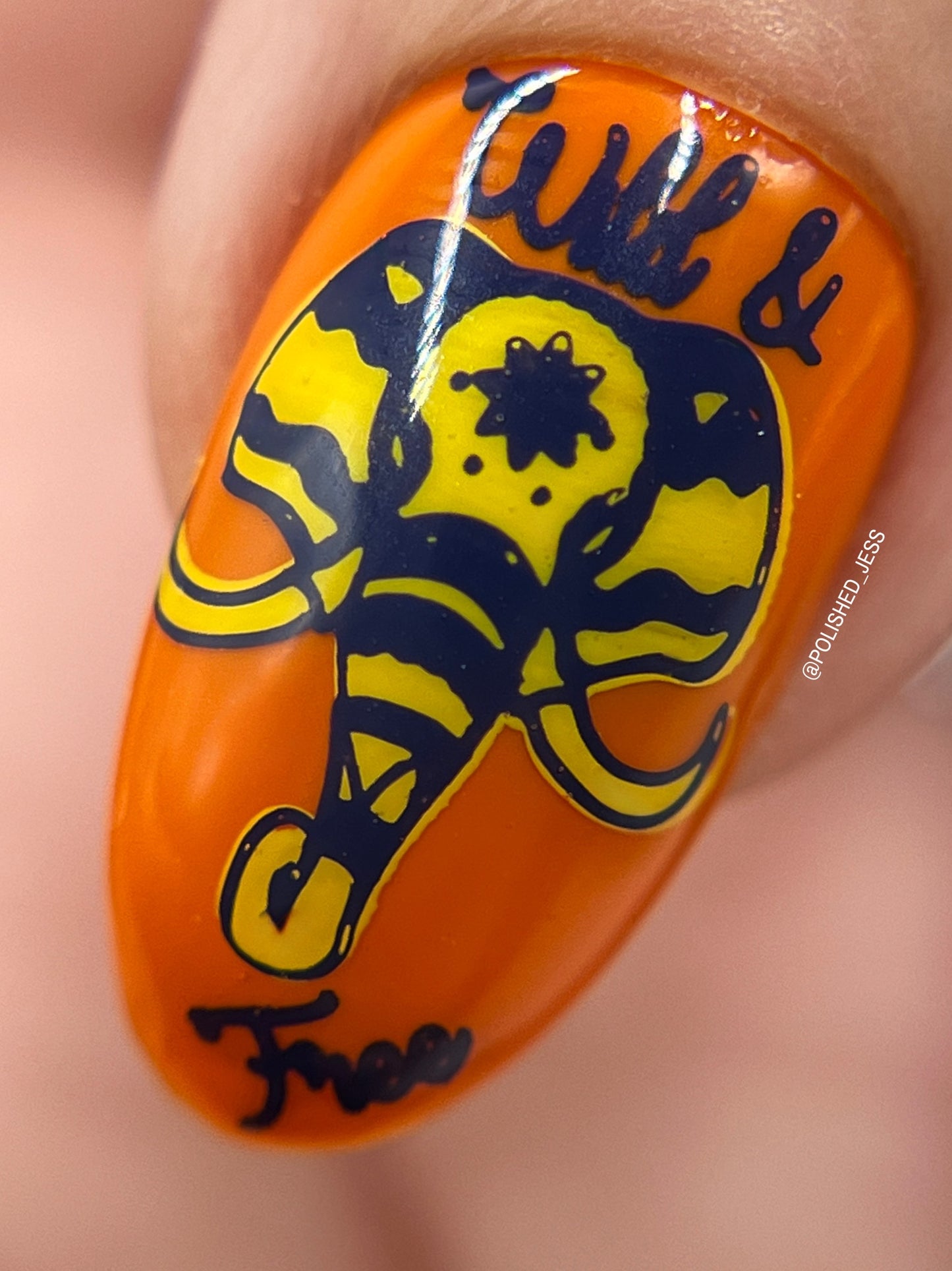 Everything Elephant (CjS LC-44) Etched Nail Art Stamping Plate