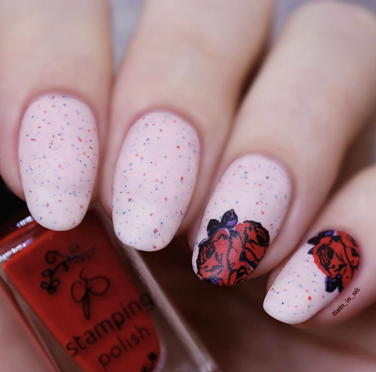 Suzie's Victorian Plate (CjS LC-45) Steel Stamping Plate 14 x 9 Clear Jelly Stamper