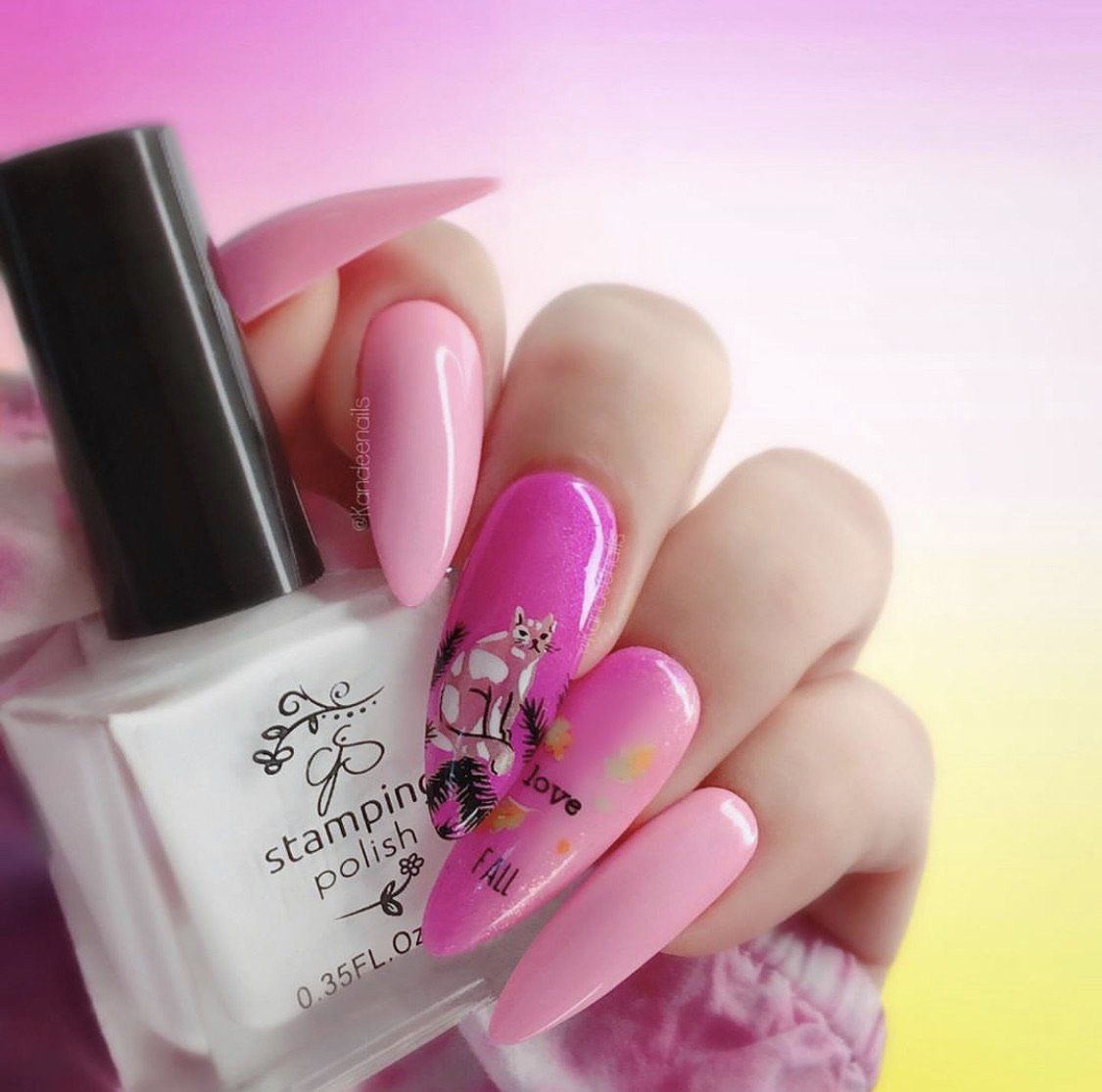 Autumn Acorns (CjS-148) Steel Stamping Plate 14 x 9 Clear Jelly Stamper