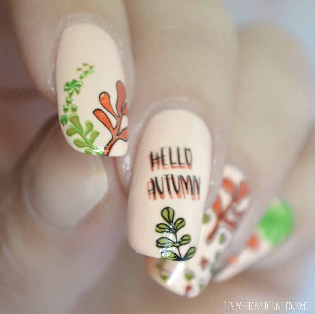 Fallpaper - Happy Fall Yall! (CjS-133) Steel Stamping Plate 14 x 9 Clear Jelly Stamper