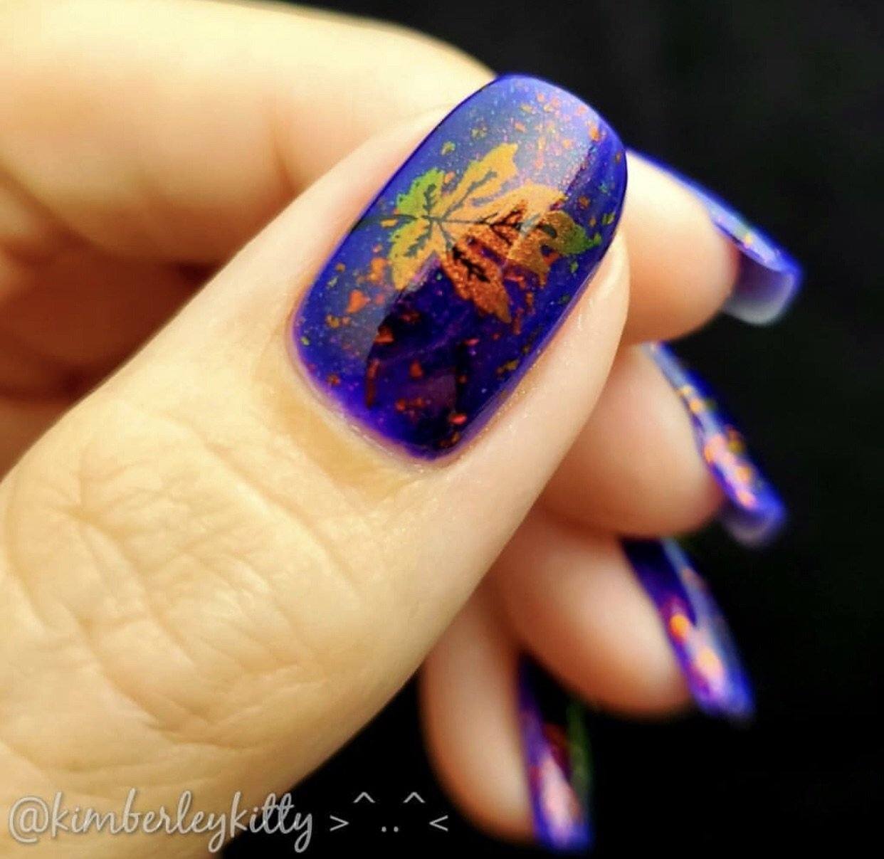 Autumn is Here! (CjS-135) Steel Nail Art Stamping Plate 14 x 9 Clear Jelly Stamper