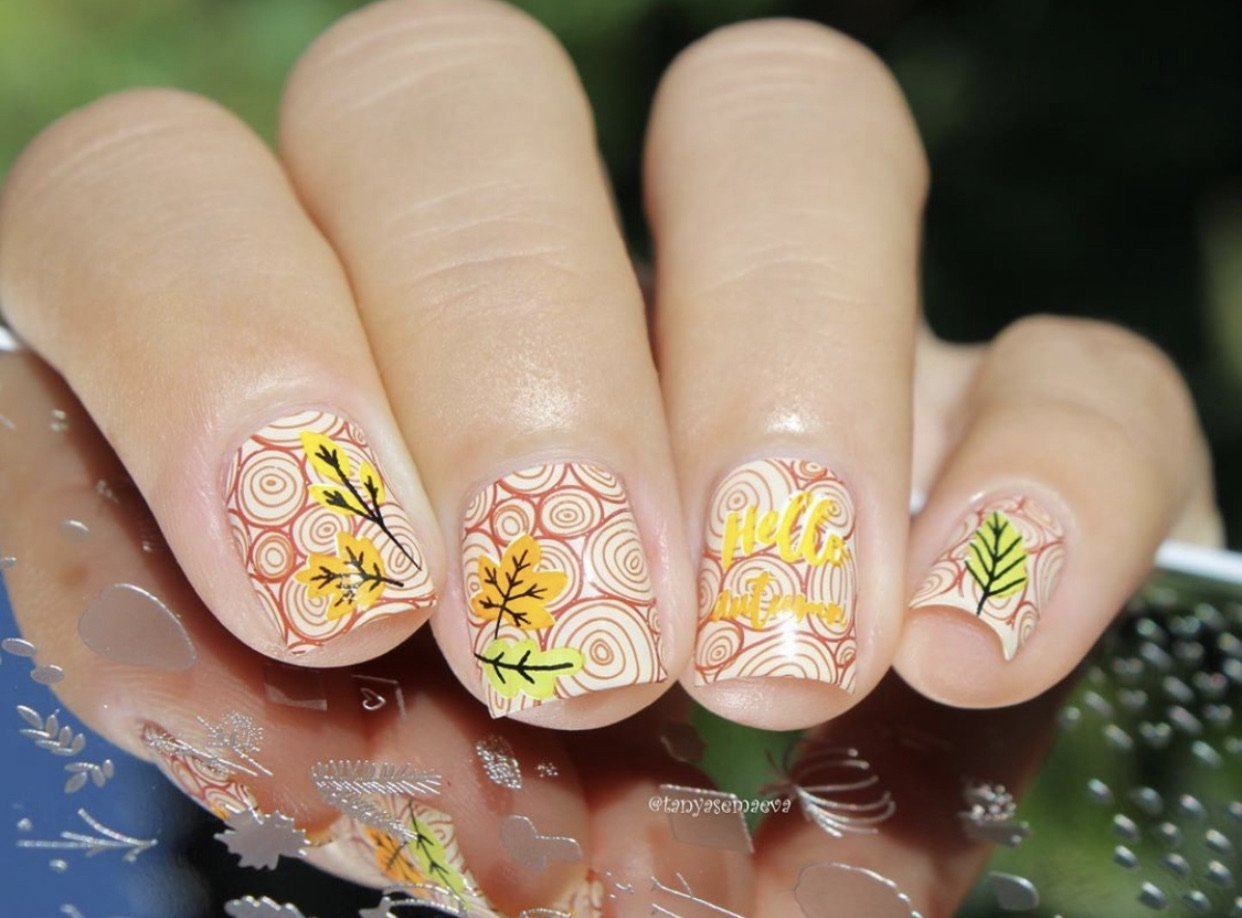 Autumn Acorns (CjS-148) Steel Stamping Plate 14 x 9 Clear Jelly Stamper