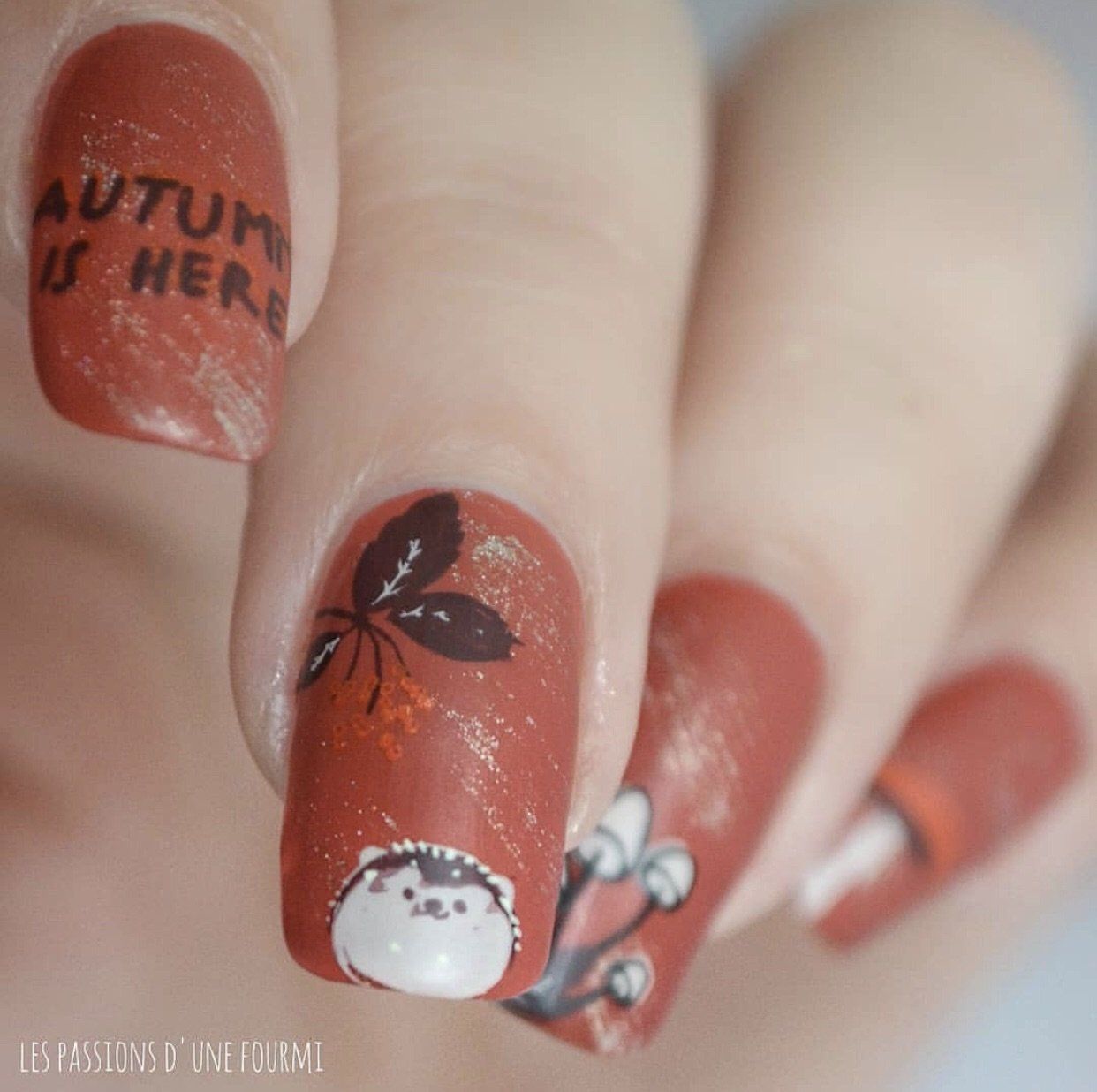 Autumn is Here! (CjS-135) Steel Nail Art Stamping Plate 14 x 9 Clear Jelly Stamper