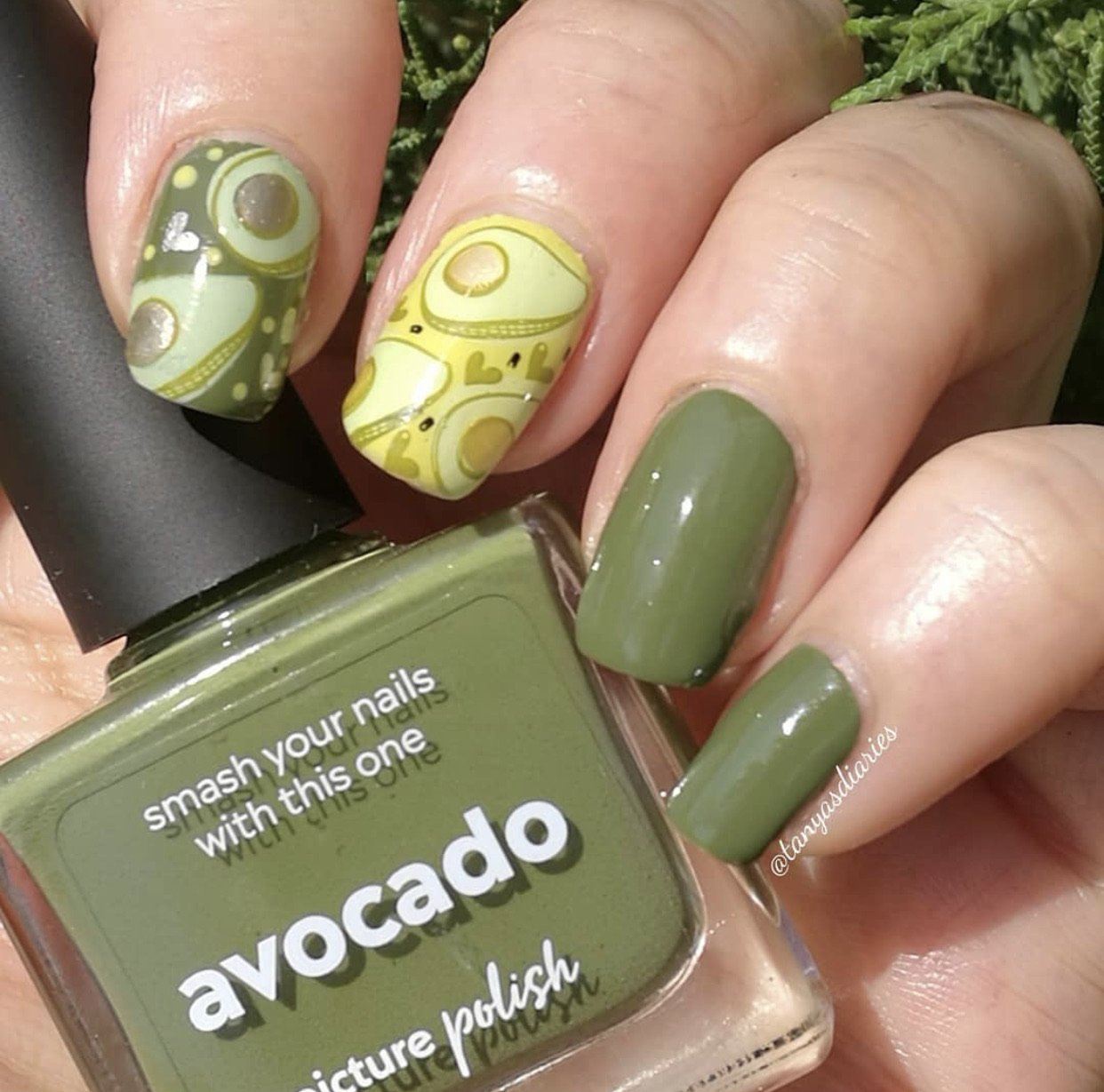 Koko by Design (CjS-103) Steel Nail Art Stamping Plate 14 x 9 Clear Jelly Stamper