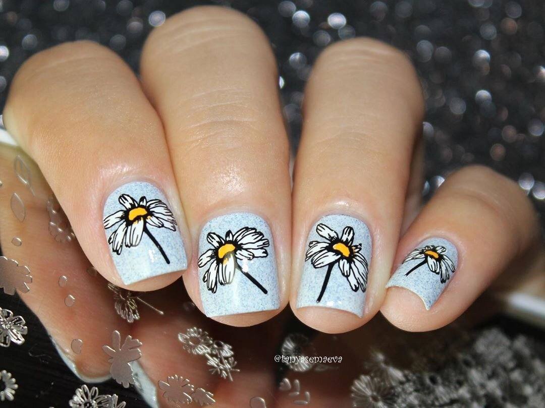 I Dream of Daisies (CjS-104) Steel Nail Art Stamping Plate 14 x 9 Clear Jelly Stamper