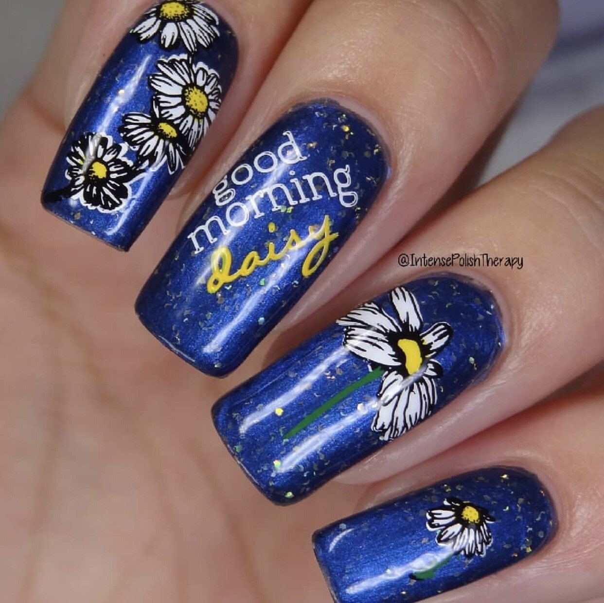 I Dream of Daisies (CjS-104) Steel Nail Art Stamping Plate 14 x 9 Clear Jelly Stamper