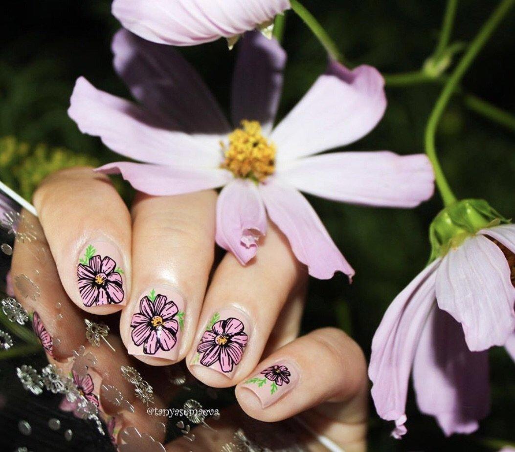 I Dream of Daisies (CjS-104) Steel Nail Art Stamping Plate 14 x 9 Clear Jelly Stamper