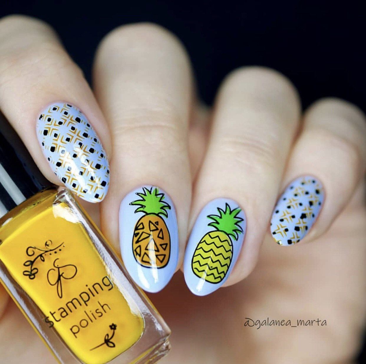 Pineapple Pizazz (CjS-130) Steel Nail Art Stamping Plate 6x6 Clear Jelly Stamper