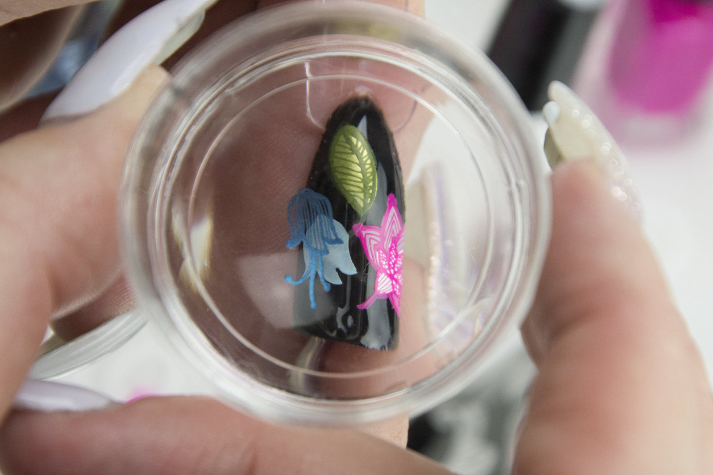 Petals of Lace (CjS-50) - Steel Nail Art Stamping Plate 14 x 9 Clear Jelly Stamper