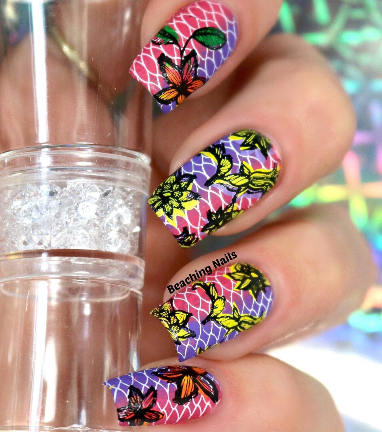 Feeling Lacy - (CjS-51) - Steel Nail Art Stamping Plate 14 x 9 Clear Jelly Stamper