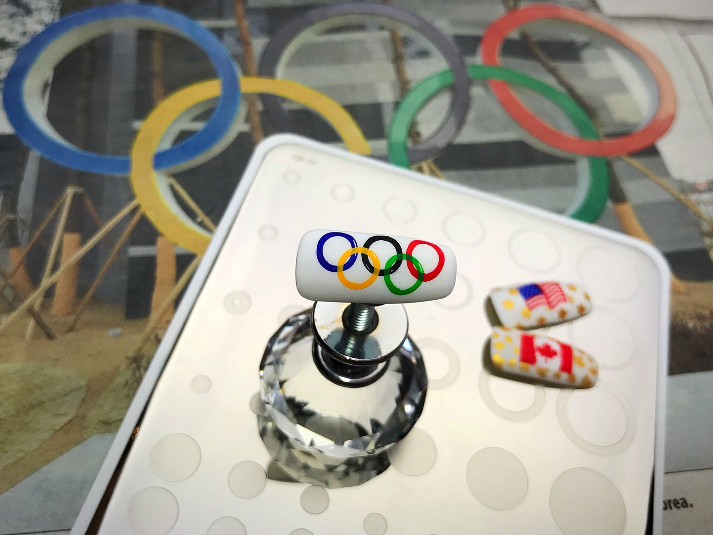 Circles (CjS-53) Steel Nail Art Stamping Plate 14 x 9 Clear Jelly Stamper