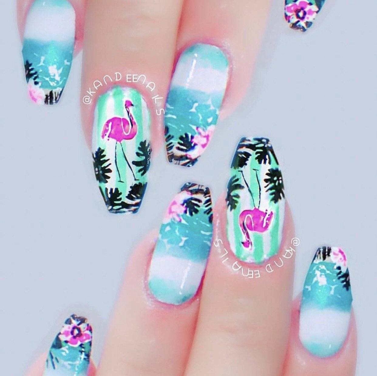 Fabulous Flamingo (CjS-57) - Steel Nail Art Stamping Plate 14 x 9 Clear Jelly Stamper