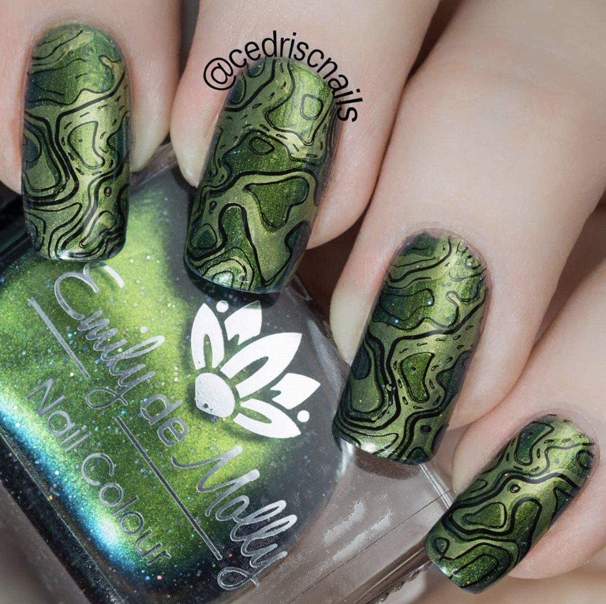 Adventure Begins (CjS-67) Steel Nail Art Stamping Plate 14 x 9 Clear Jelly Stamper