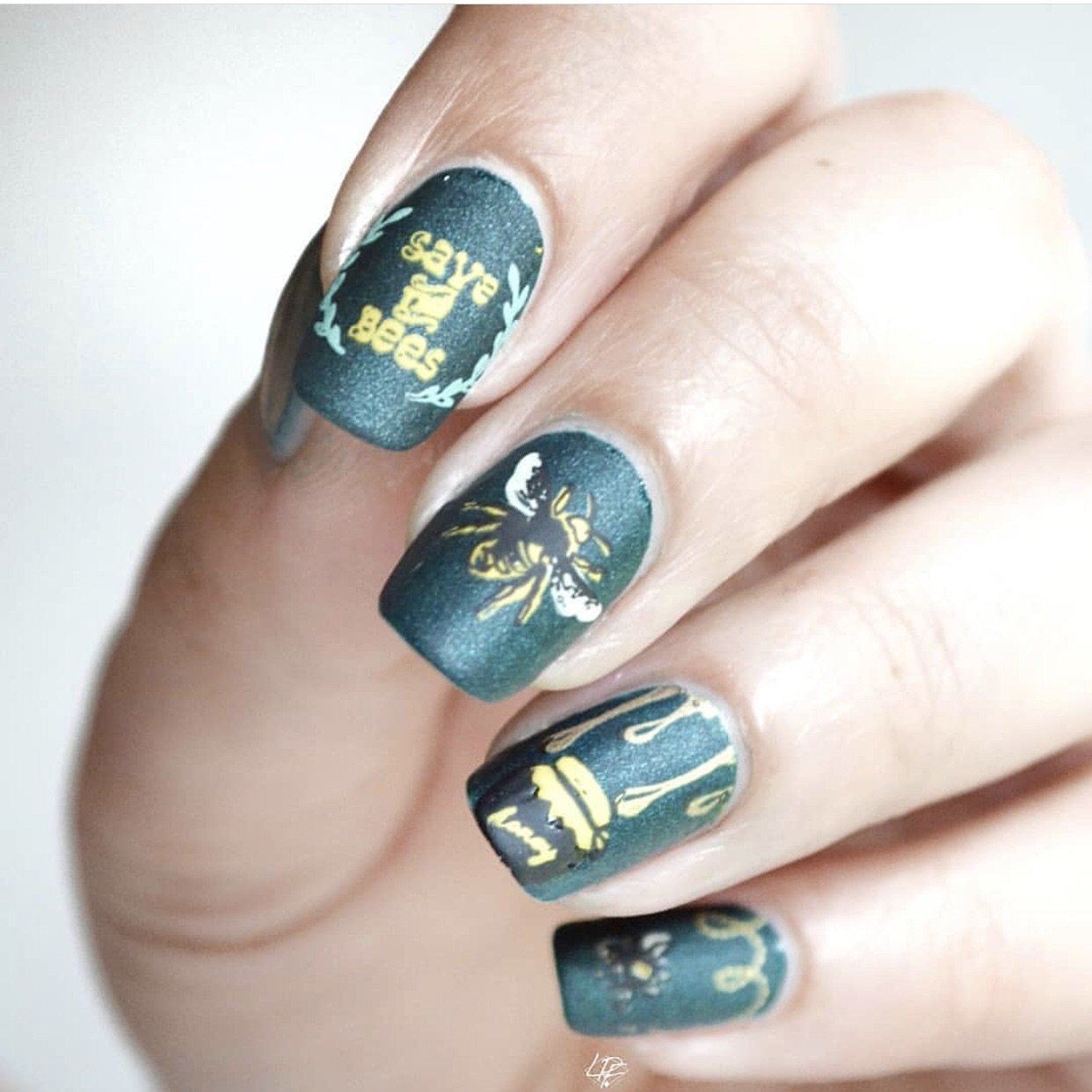 Save the Bees! (CjS-68) Steel Nail Art Stamping Plate 14 x 9 Clear Jelly Stamper