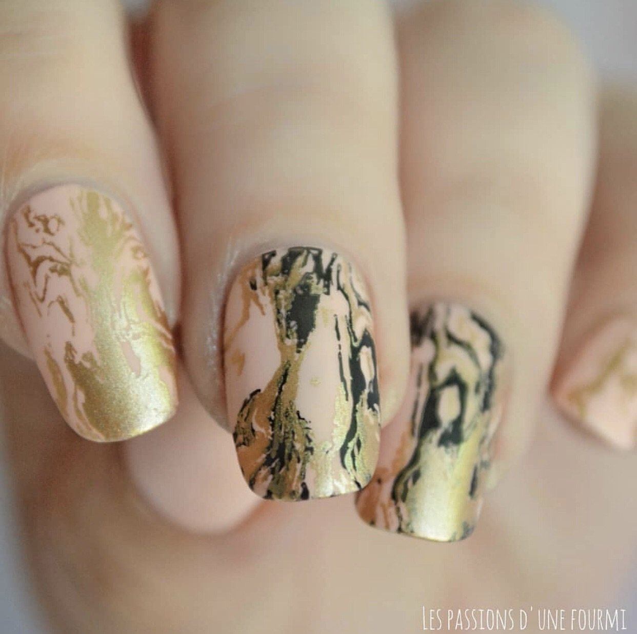 Texture Essentials - Urban (CjS-78) Steel Nail Art Stamping Plate 14 x 9 Clear Jelly Stamper